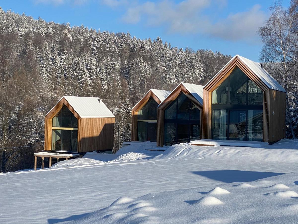 Domki Pod Lasem - Domek Brzozowy Stronie Slaskie Bagian luar foto