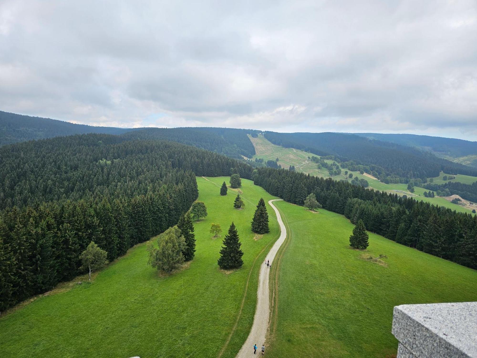 Domki Pod Lasem - Domek Brzozowy Stronie Slaskie Bagian luar foto