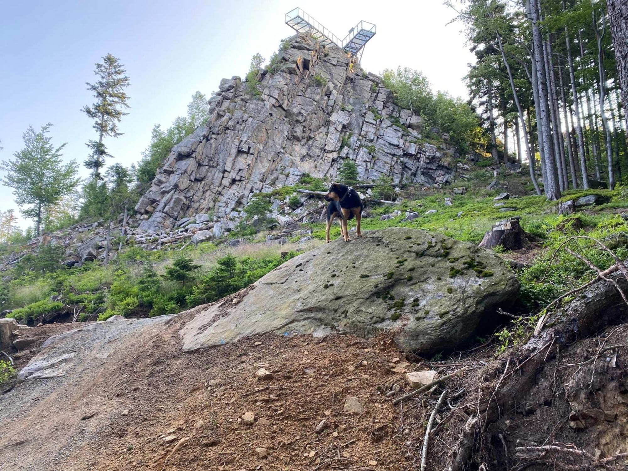 Domki Pod Lasem - Domek Brzozowy Stronie Slaskie Bagian luar foto